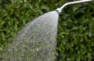 GEKA® Plus Gießkopf Soft Rain Fine M – Präziser, sanfter Wasserschleier